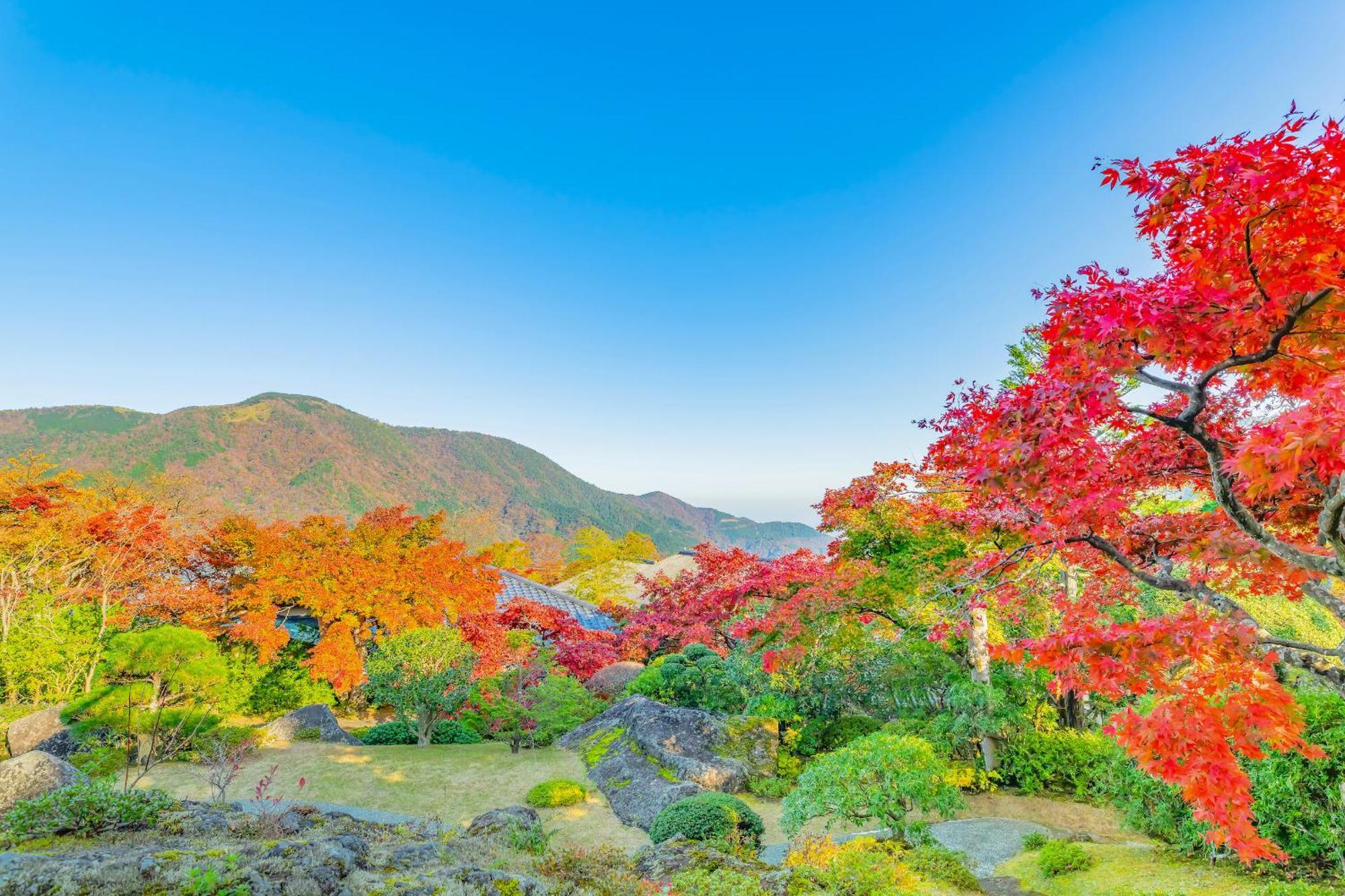 ホテル 山翠楼 湯河原町 エクステリア 写真